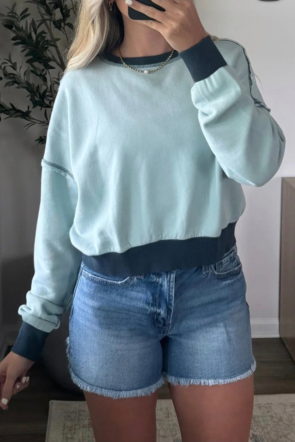Iceland Blue Cropped Sweatshirt